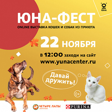 Донские жители смогут подобрать себе домашнего питомца онлайн