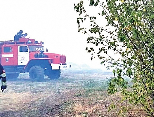 15 августа