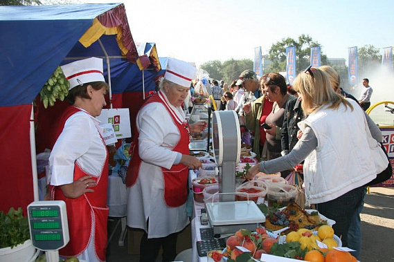 Какой вклад ярмарки и рынки внесли в экономику Ростовской области?