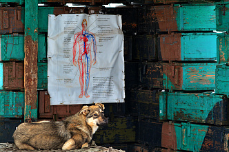 02 02 2026 Хочешь долго жить – учись!