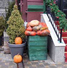 Иду по улице…