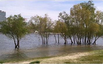 В низовьях Дона ожидается ветровой нагон воды