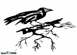 «Смотри со мной»