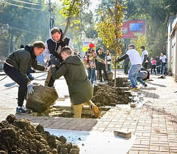 Вместе возродим город-сад!