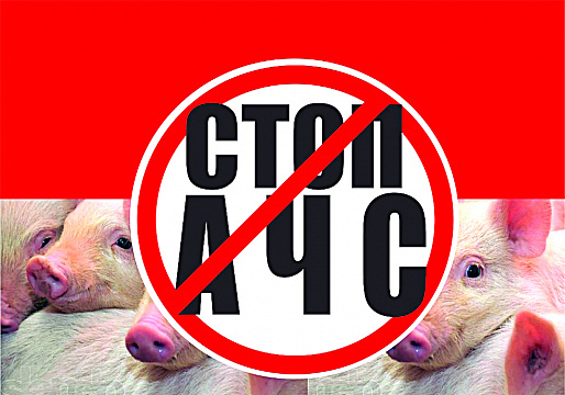 18 августа