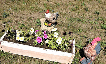 Конь, медведь и гусь от Галины