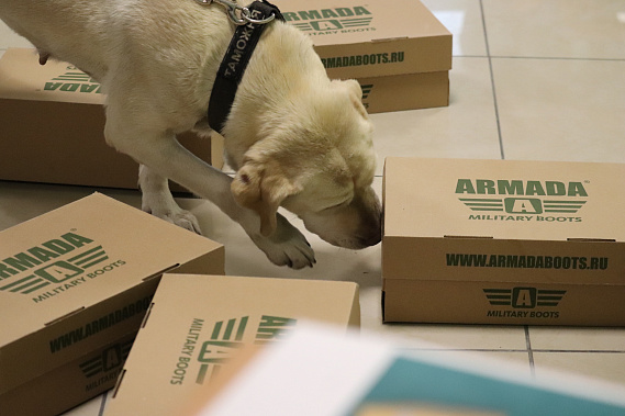 На службу в Луганскую таможню взяли Бетти