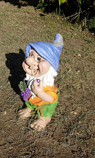 «Ласточка» и ее домовые