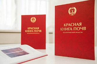 На следующий год на Дону намерены издать региональную Красную книгу почв