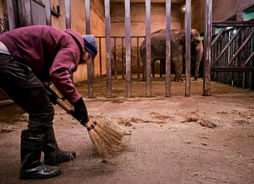 В Ростове должника по алиментам отправили работать в зоопарк