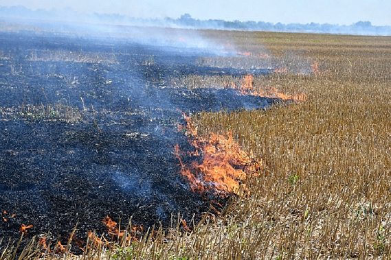 Источник фото: guberniya.tv.