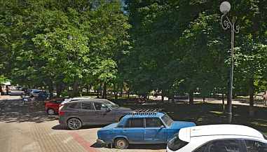 В Ростове начали проверку сети освещения после гибели собаки на улице Пушкинской