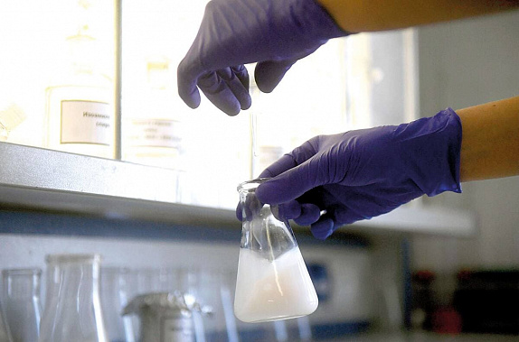 Чтобы не пустить холеру в Россию