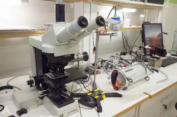 В ЮФУ создадут лабораторию агробиотехнологий