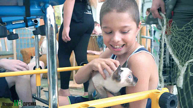 Как кошки-крошки  с друзьями встретились