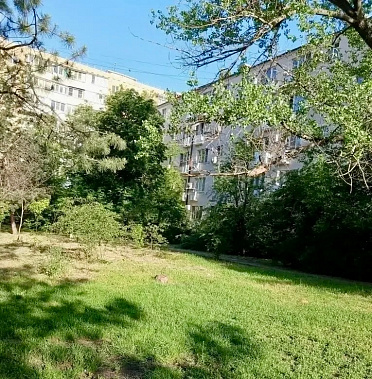 Порядок во дворе у дома — не только вопрос эстетики, но и мера для защиты здоровья