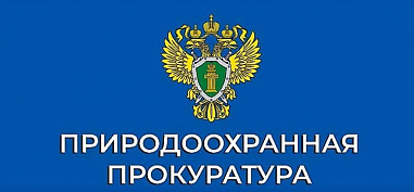 Ростовским межрайонным природоохранным прокурором назначен Владимир Пустоваров