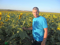 Не полагаясь на авось