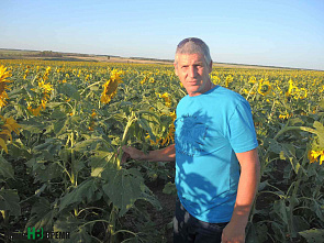 Не полагаясь на авось