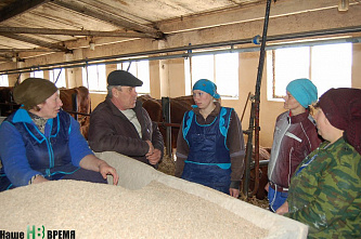 Не хлебом единым