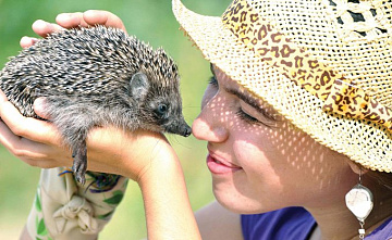 В бой идут волонтеры_17808