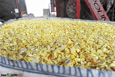 Джинн из пластиковой бутылки. Как приобщить его к цивилизации?