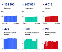 Коронавирус в Ростовской области: статистика на 1 сентября