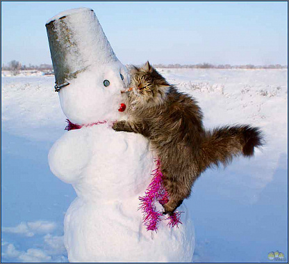 Не сердись, снеговичок!