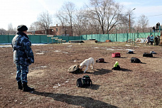 В спецназе донского тюремного ведомства отметили юбилей