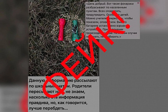 Сказки про волков. Волна нелепых слухов на Дону не желает спадать