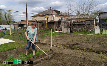 Наш цитатник