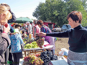 Здравствуйте, гости!