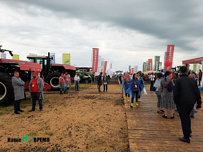 День донского поля 2021