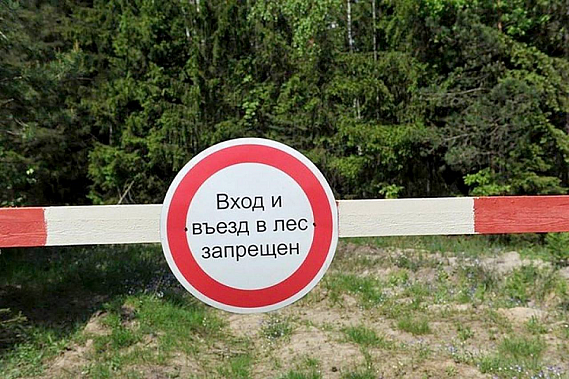 Источник фото: runews24.ru.