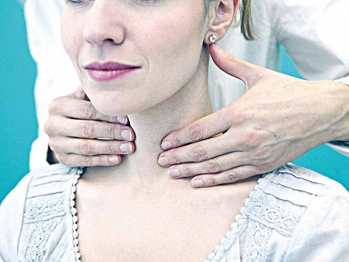 Расположенная у основания шеи щитовидная железа вырабатывает гормоны, от которых зависят энергетический баланс организма, обменные процессы, частота сердечных сокращений, работа кишечника, содержание холестерина в крови и состояние костных тканей.