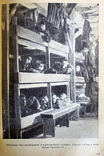 Через века, через года помните!