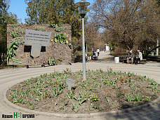 Погуляем, поснимаем – 4