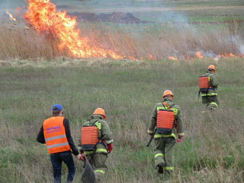 Число добровольных пожарных на Дону выросло до 5 тысяч человек