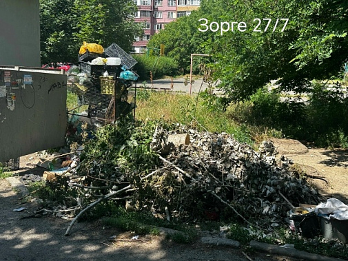 Когда тревожит ситуация с вывозом ТКО и крупногабаритного мусора...