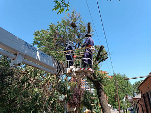 Натиск на Ростов и область восточного ветра не остался без последствий