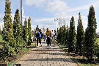 Клены, липы, туи...	