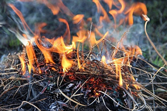 В Ростовской области объявлена чрезвычайная пожароопасность
