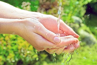 Дачные инфекции