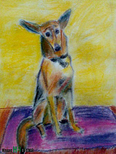 «Смотри со мной»