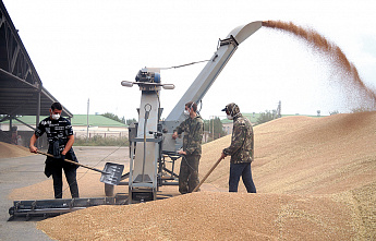В Октябрьском (с.) районе уборку урожая ведут наперегонки  с дождем
