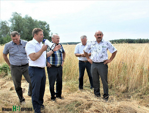 СПА «Кировский». Скоро на это поле озимой ржи сорта «чулпан» зайдут комбайны.