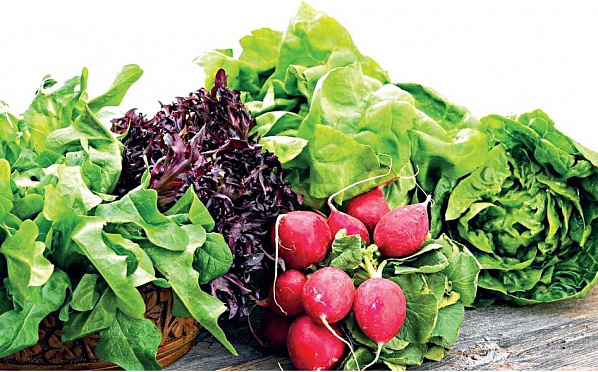 Просто. Вкусно. Полезно