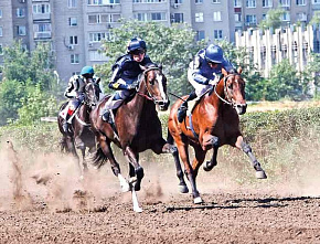 Энциклопедия Ростовской области: И