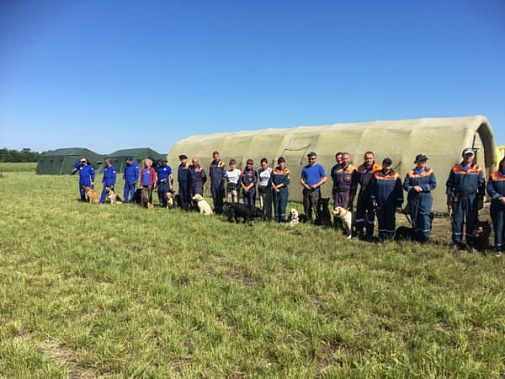 На Дону собаки-спасатели проходят учебно-тренировочную аттестацию