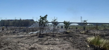 Пожар на Левом берегу Дона окончательно потушили через семь часов